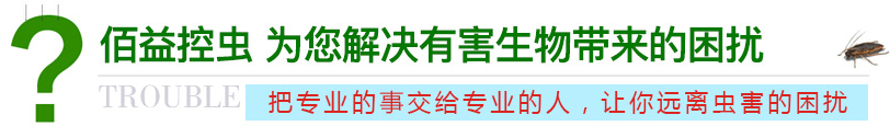 热博rb88控虫 为您解决有害生物带来的困扰