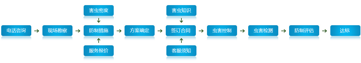 效劳流程